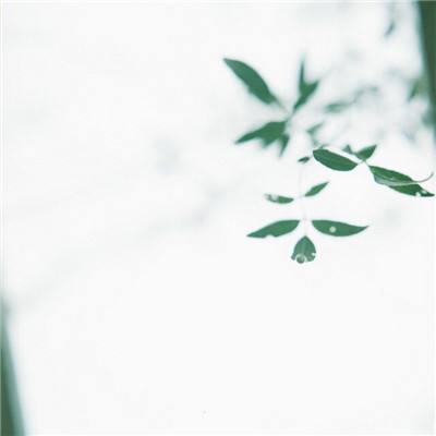 沉浸式游玩项目预订量飙升300% 暑期入境游持续火热丨夏游季